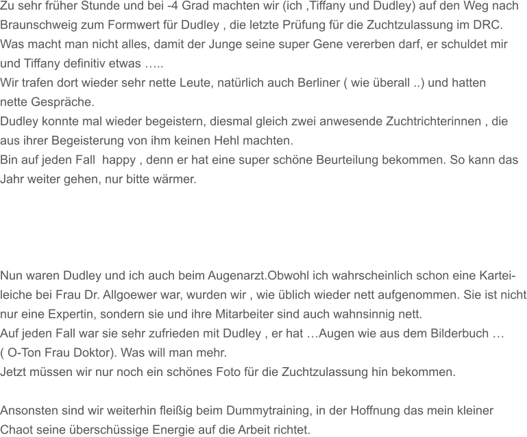 Zu sehr frher Stunde und bei -4 Grad machten wir (ich ,Tiffany und Dudley) auf den Weg nach Braunschweig zum Formwert fr Dudley , die letzte Prfung fr die Zuchtzulassung im DRC. Was macht man nicht alles, damit der Junge seine super Gene vererben darf, er schuldet mir und Tiffany definitiv etwas .. Wir trafen dort wieder sehr nette Leute, natrlich auch Berliner ( wie berall ..) und hatten nette Gesprche. Dudley konnte mal wieder begeistern, diesmal gleich zwei anwesende Zuchtrichterinnen , die  aus ihrer Begeisterung von ihm keinen Hehl machten. Bin auf jeden Fall  happy , denn er hat eine super schne Beurteilung bekommen. So kann das Jahr weiter gehen, nur bitte wrmer.     Nun waren Dudley und ich auch beim Augenarzt.Obwohl ich wahrscheinlich schon eine Kartei- leiche bei Frau Dr. Allgoewer war, wurden wir , wie blich wieder nett aufgenommen. Sie ist nicht nur eine Expertin, sondern sie und ihre Mitarbeiter sind auch wahnsinnig nett. Auf jeden Fall war sie sehr zufrieden mit Dudley , er hat Augen wie aus dem Bilderbuch  ( O-Ton Frau Doktor). Was will man mehr. Jetzt mssen wir nur noch ein schnes Foto fr die Zuchtzulassung hin bekommen.  Ansonsten sind wir weiterhin fleiig beim Dummytraining, in der Hoffnung das mein kleiner Chaot seine berschssige Energie auf die Arbeit richtet.