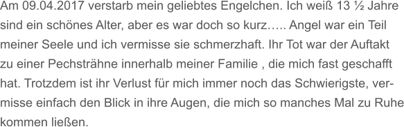 Am 09.04.2017 verstarb mein geliebtes Engelchen. Ich wei 13  Jahre  sind ein schnes Alter, aber es war doch so kurz.. Angel war ein Teil meiner Seele und ich vermisse sie schmerzhaft. Ihr Tot war der Auftakt  zu einer Pechstrhne innerhalb meiner Familie , die mich fast geschafft hat. Trotzdem ist ihr Verlust fr mich immer noch das Schwierigste, ver- misse einfach den Blick in ihre Augen, die mich so manches Mal zu Ruhe kommen lieen.