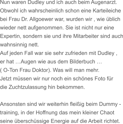 Nun waren Dudley und ich auch beim Augenarzt. Obwohl ich wahrscheinlich schon eine Karteileiche bei Frau Dr. Allgoewer war, wurden wir , wie blich  wieder nett aufgenommen. Sie ist nicht nur eine Expertin, sondern sie und ihre Mitarbeiter sind auch wahnsinnig nett. Auf jeden Fall war sie sehr zufrieden mit Dudley , er hat Augen wie aus dem Bilderbuch  ( O-Ton Frau Doktor). Was will man mehr. Jetzt mssen wir nur noch ein schnes Foto fr  die Zuchtzulassung hin bekommen.  Ansonsten sind wir weiterhin fleiig beim Dummy - training, in der Hoffnung das mein kleiner Chaot seine berschssige Energie auf die Arbeit richtet.