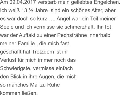 Am 09.04.2017 verstarb mein geliebtes Engelchen.  Ich wei 13  Jahre  sind ein schnes Alter, aber es war doch so kurz.. Angel war ein Teil meiner Seele und ich vermisse sie schmerzhaft. Ihr Tot  war der Auftakt zu einer Pechstrhne innerhalb meiner Familie , die mich fast  geschafft hat.Trotzdem ist ihr Verlust fr mich immer noch das Schwierigste, vermisse einfach den Blick in ihre Augen, die mich so manches Mal zu Ruhe kommen lieen.